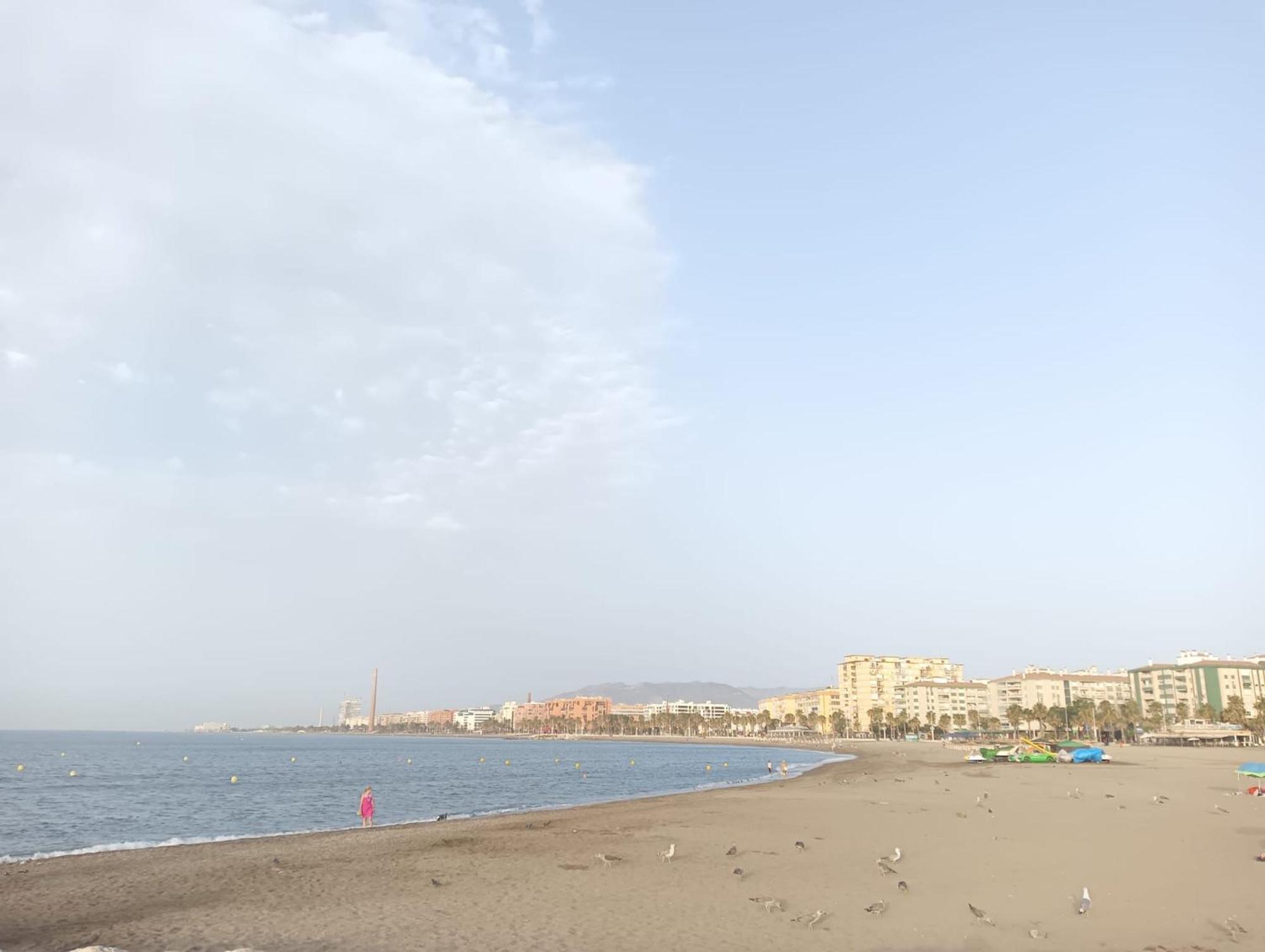 Holidays2Malaga Montesa 700M From The Beach Rooftop Terrace Exteriör bild